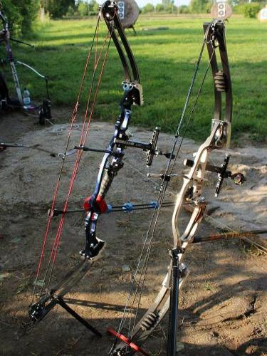 Archery day 40